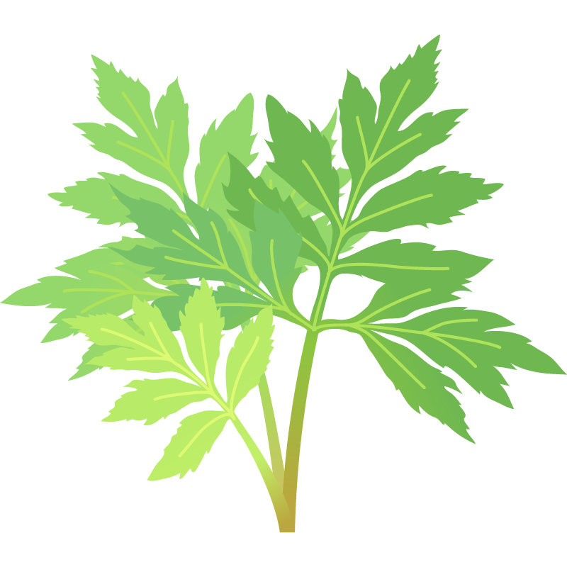 がんを防ぐーあしたばー ヨガライフスクールインサッポロ 機関紙 未来 ウェブ