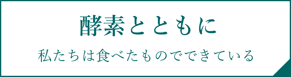 酵素とともに 私たちは食べたものでできている